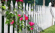 Picket Fence